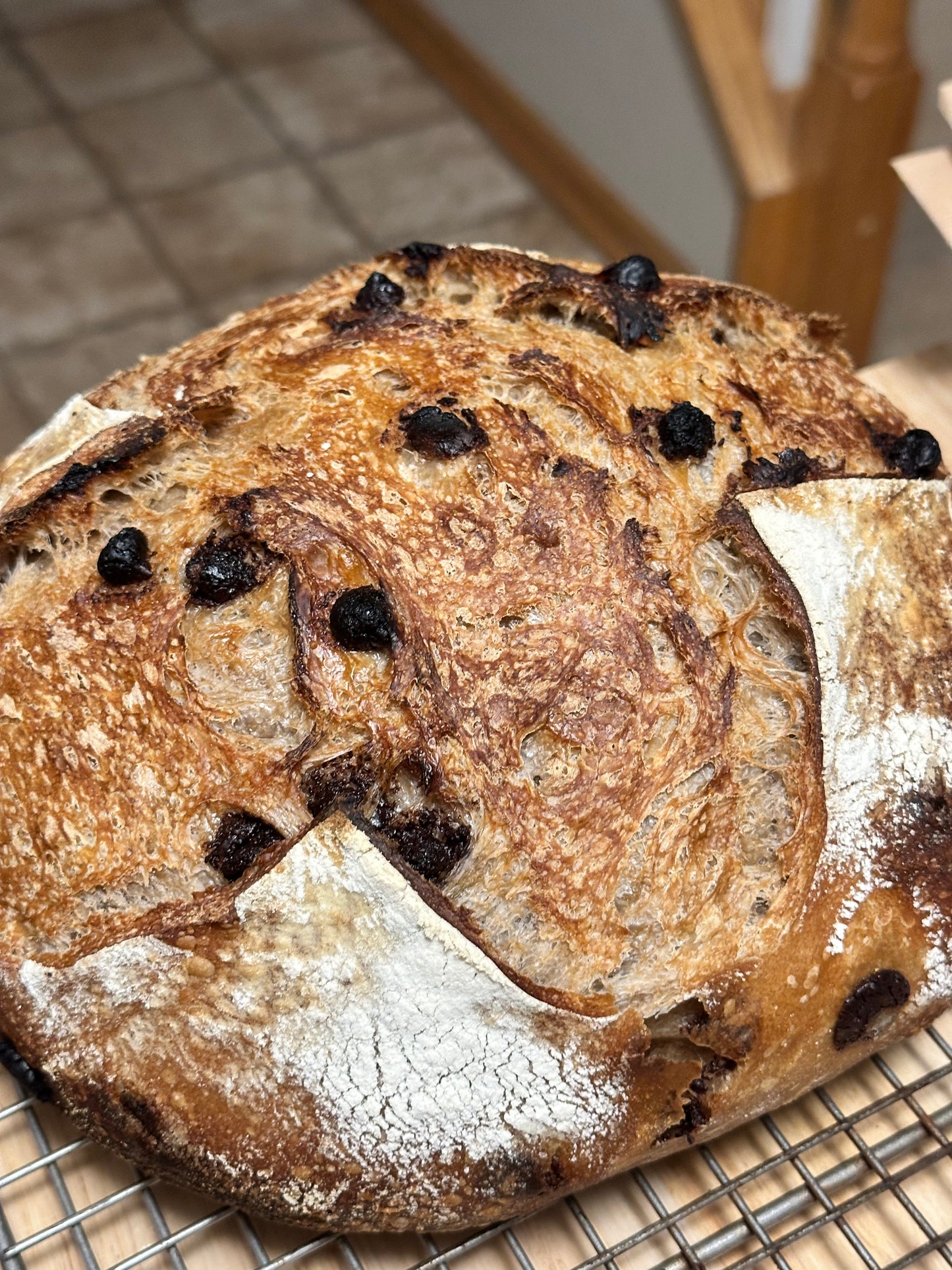 Artisan Sourdough Bread – Multiple Flavors | Wildhearth Co.
