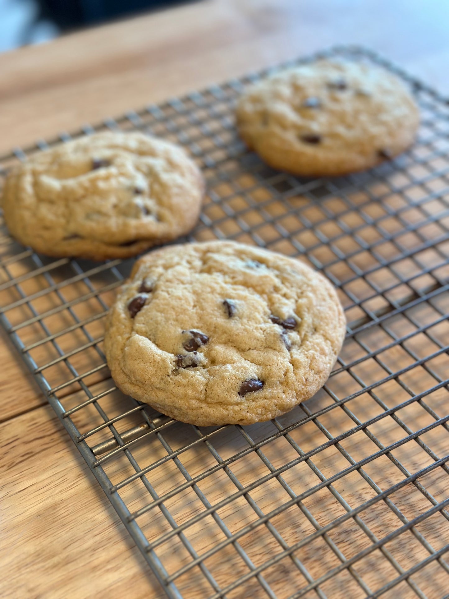 Sourdough Chocolate Chunk Cookies | Wildhearth Co.