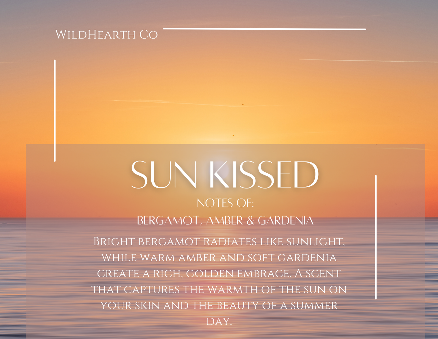 Sun Kissed – Clean-Burning Coconut Soy & Beeswax Candle | Wildhearth Co.