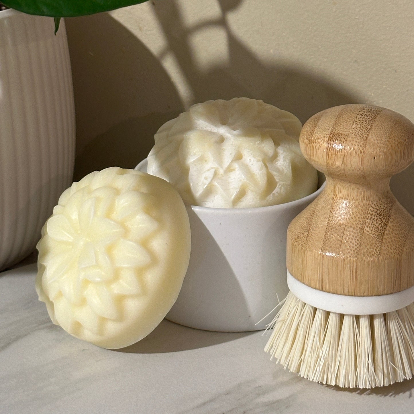 Solid Dish Soap | WildHearth Co