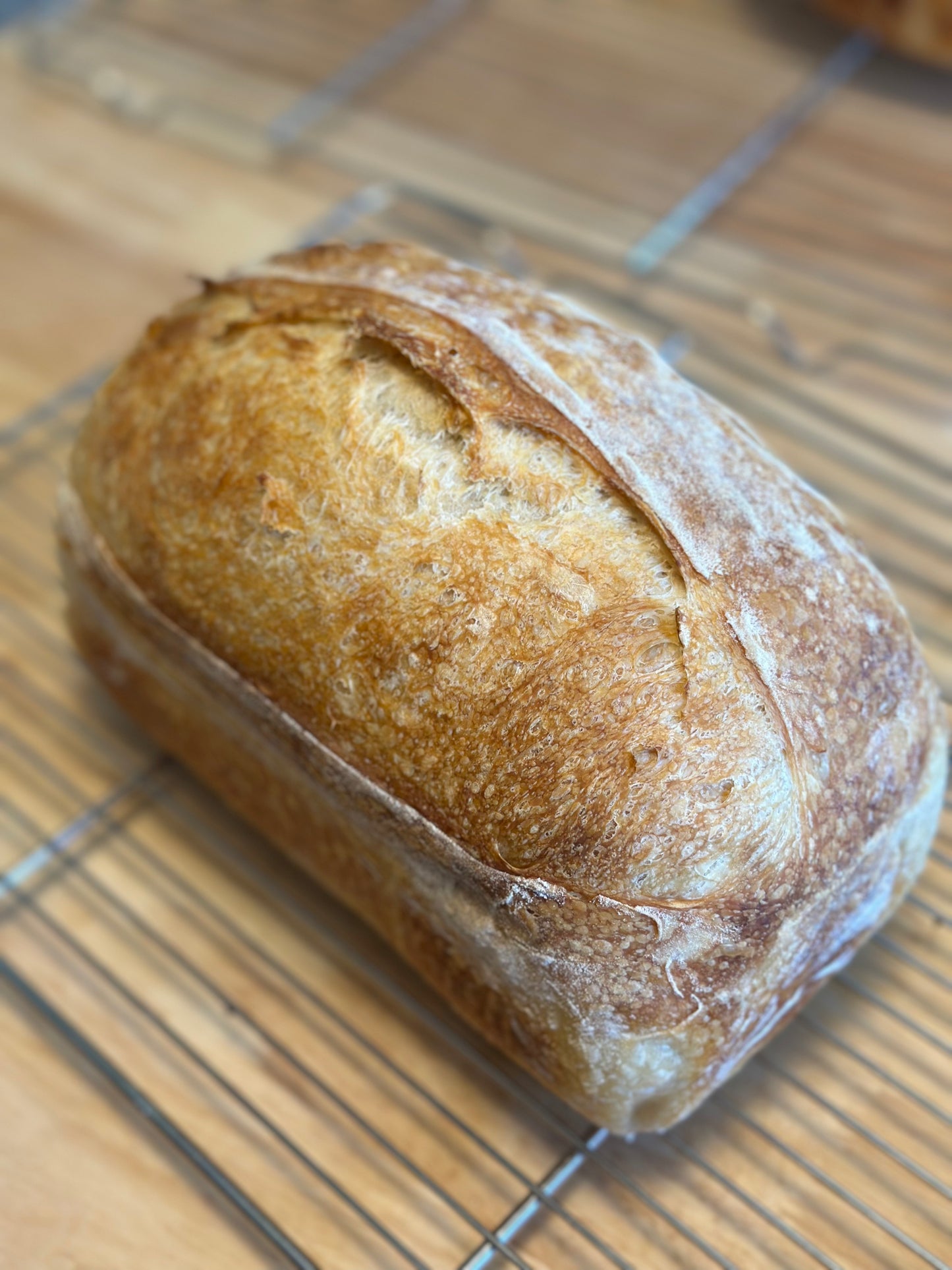 Artisan Sourdough Bread – Multiple Flavors | Wildhearth Co.