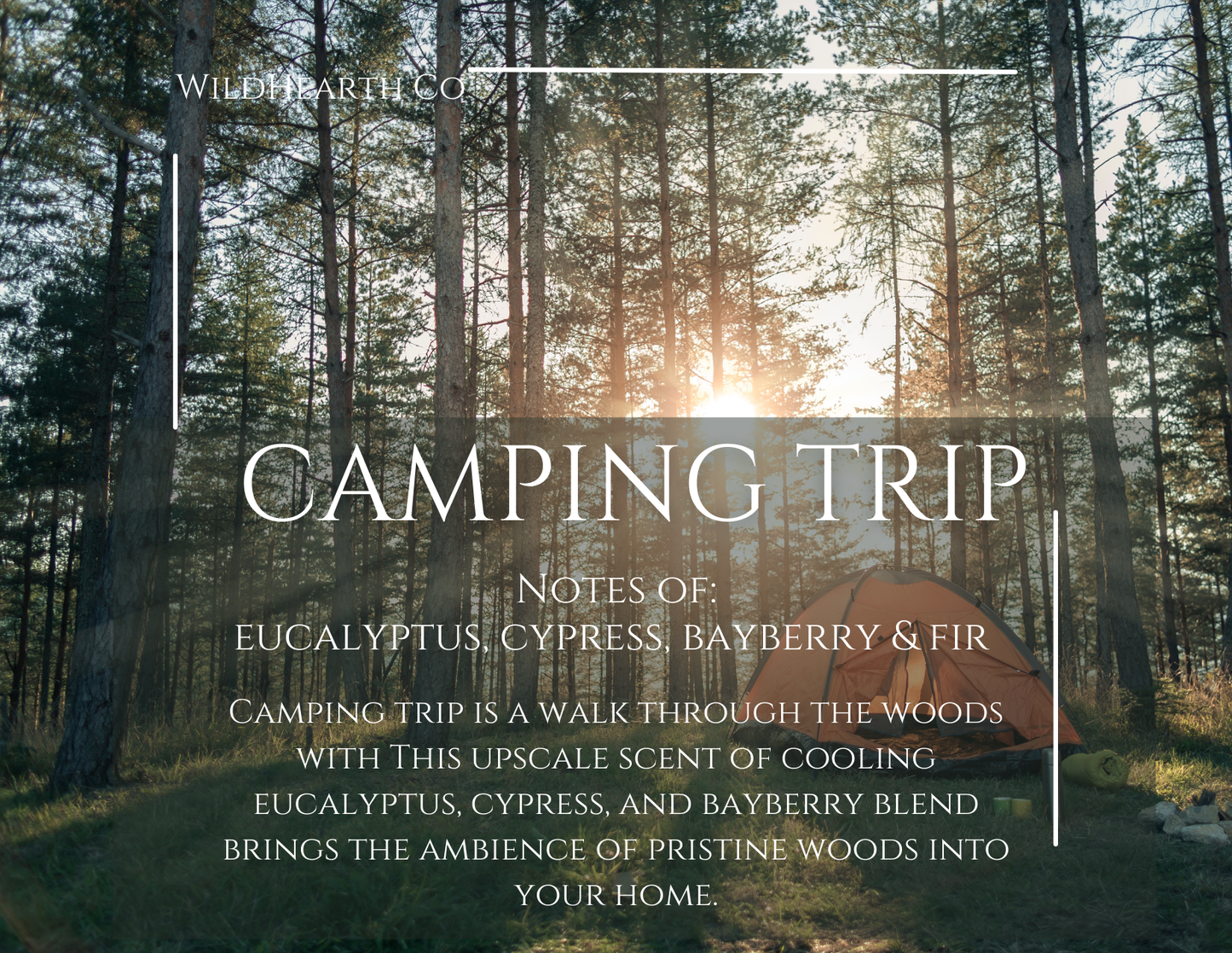 Camping Trip – Clean-Burning Coconut Soy & Beeswax Candle | Wildhearth Co
