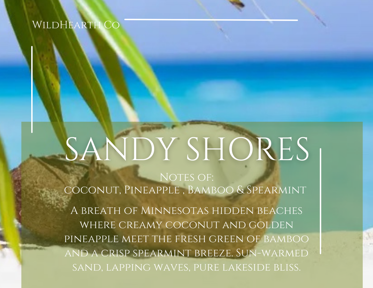 Sandy Shores – Clean-Burning Coconut Soy & Beeswax Candle | WildHearth Co