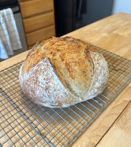 Artisan Sourdough Bread – Multiple Flavors | Wildhearth Co.