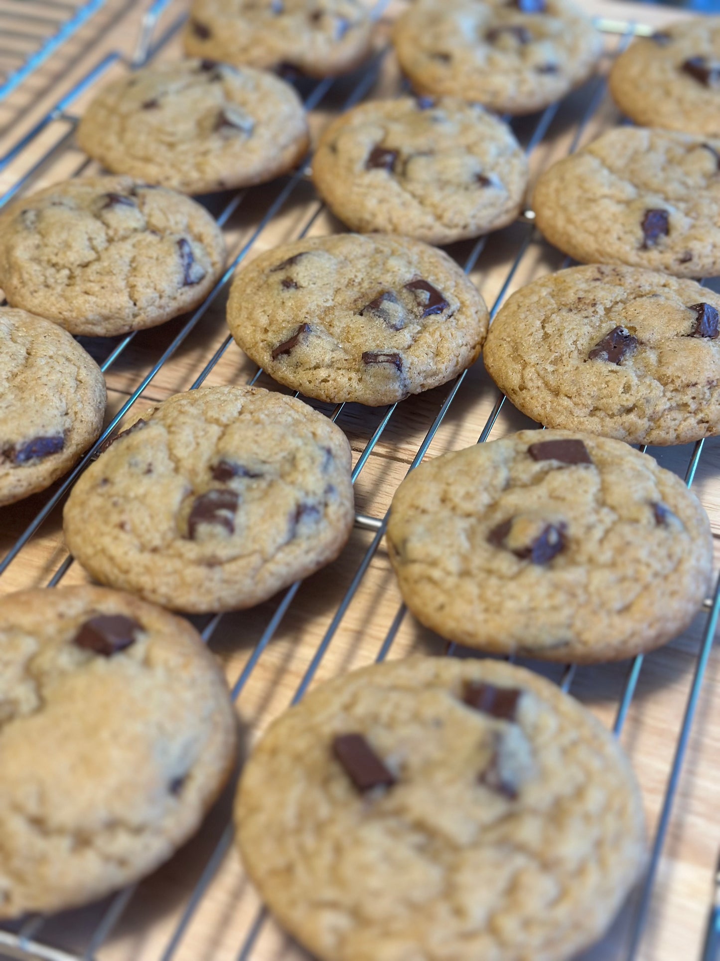 Sourdough Chocolate Chunk Cookies | Wildhearth Co.