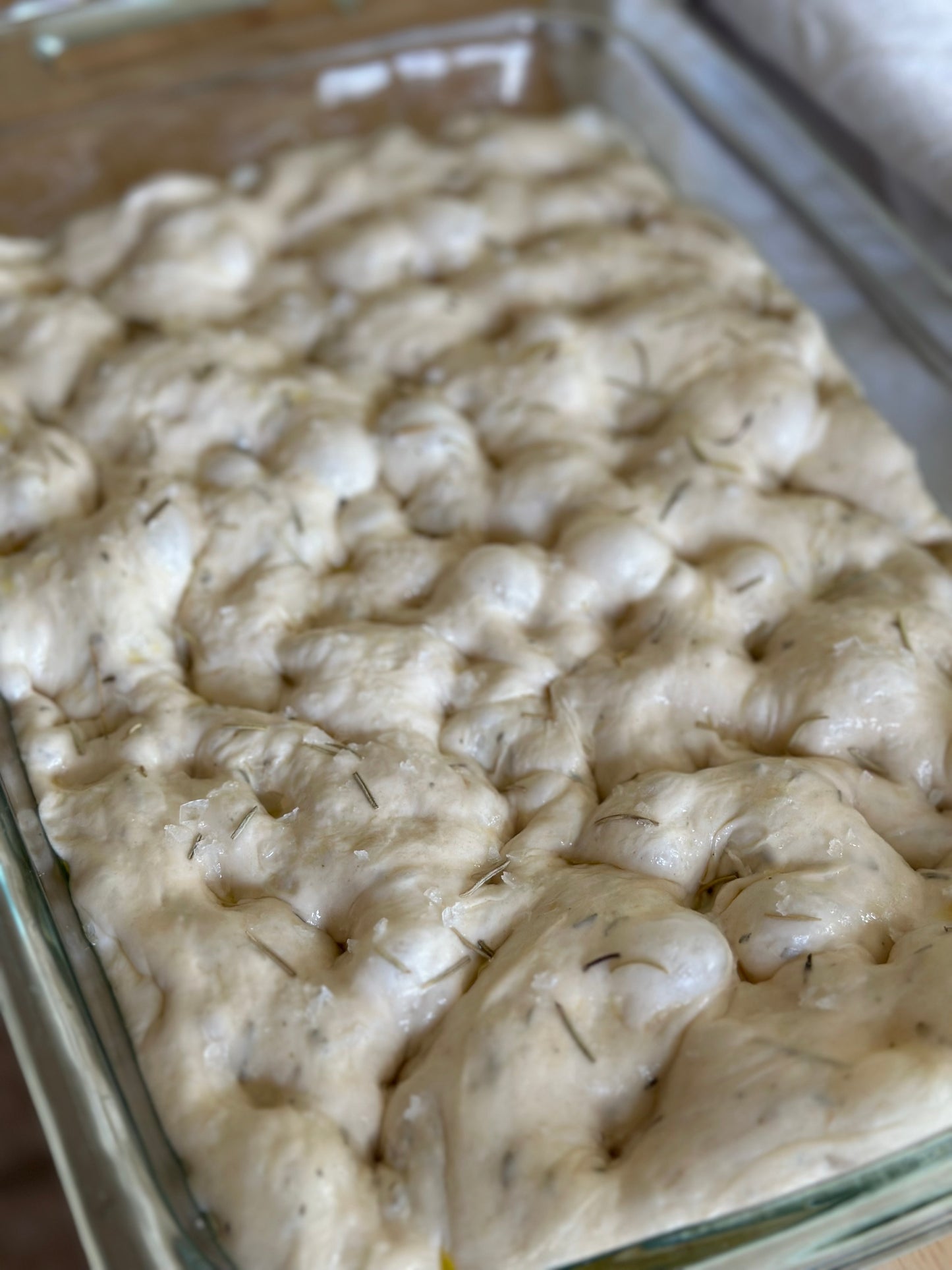 Sourdough Focaccia Bread - Multiple Flavors | WildHearth Co