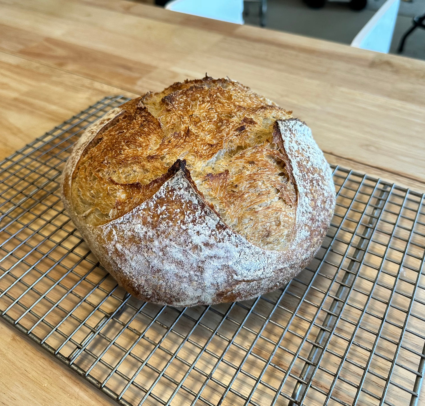Artisan Sourdough Bread – Multiple Flavors | Wildhearth Co.